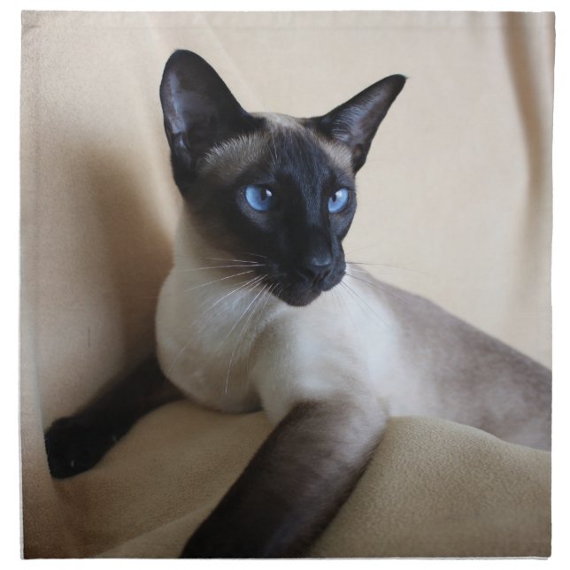 Gorgeous Siamese Cat Face Napkin (Front)