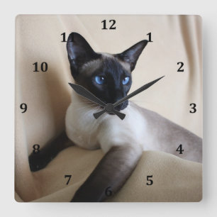 Gorgeous Siamese Cat Face Square Wall Clock