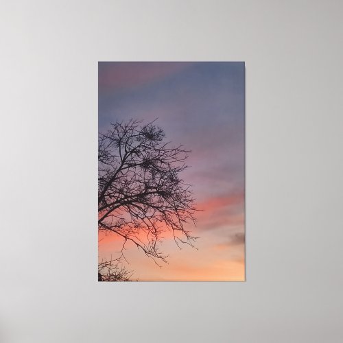 Gorgeous Sky Canvas Print