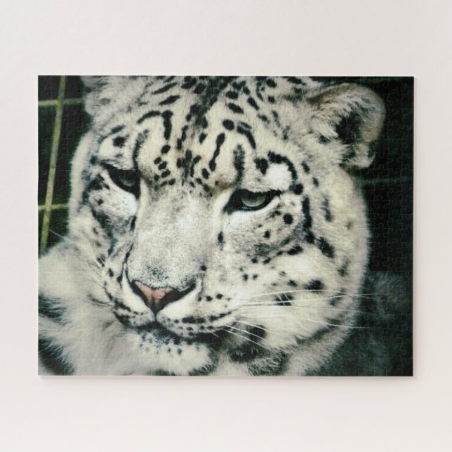 Gorgeous Snow Leopard Jigsaw Puzzle (Horizontal)