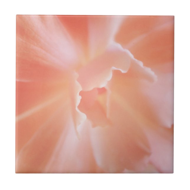 Gorgeous Soft Salmon Colored Begonia Ceramic Tile (Front)