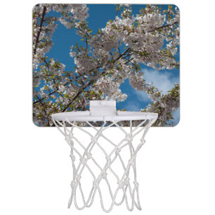 gorgeous spring light pink cherry blossom flowers mini basketball hoop