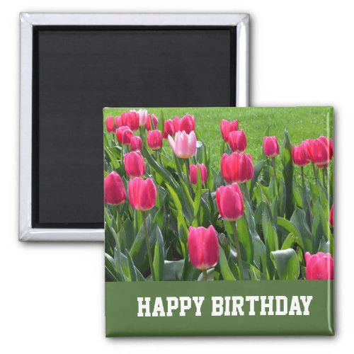 gorgeous spring pink tulip flowers happy birthday magnet
