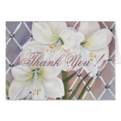 GORGEOUS STYLISH WHITE AMARYLLIS FLOWER THANK YOU (Front Horizontal)