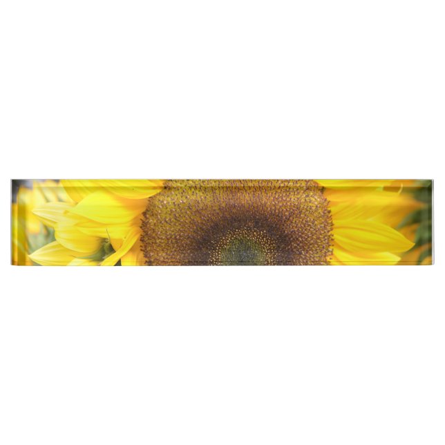 Gorgeous Sunflower Desk Name Plate (Front)
