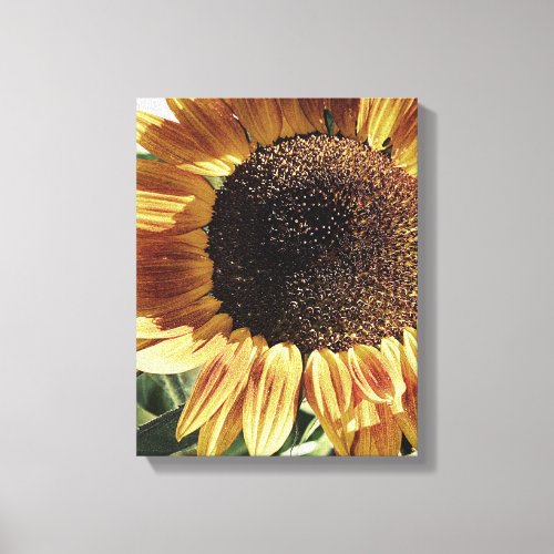 Gorgeous Sunflower  Photograph by Cherie  Floral Canvas Print