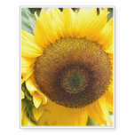 Gorgeous Sunflower Temporary Tattoos