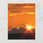 Gorgeous Sunset Postcard