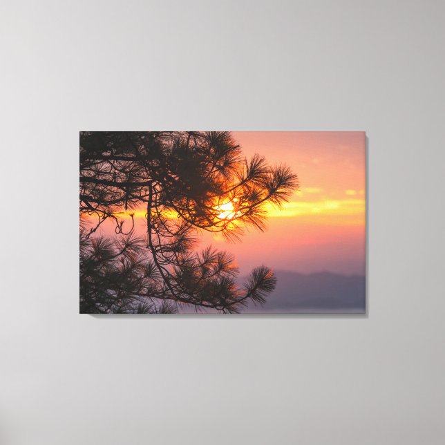 Gorgeous Sunset Viewed Through Pine Branches Canvas Print (Front)