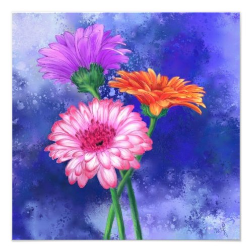 Gorgeous Three Color Gerberas _ Migned Art Drawing Photo Print