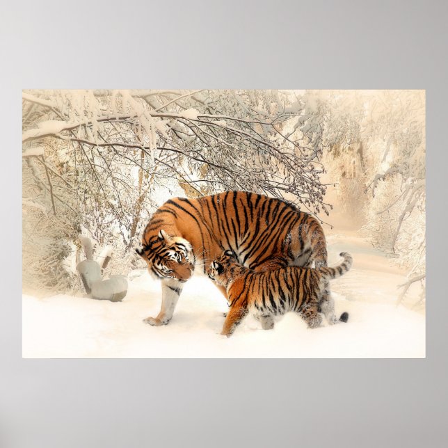 Gorgeous tiger and cub in snow poster (Front)
