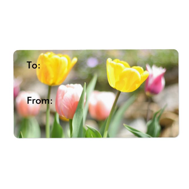 Gorgeous Tulips in the Sun Label (Front)