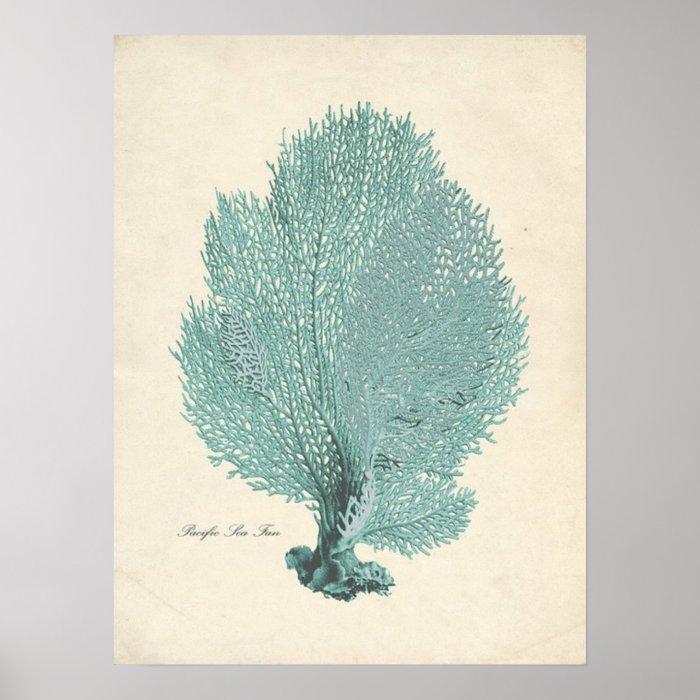 Gorgeous Turquoise/Aqua Pacific Sea Fan Poster