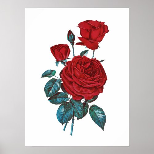 Gorgeous Vintage Red Love Roses Poster