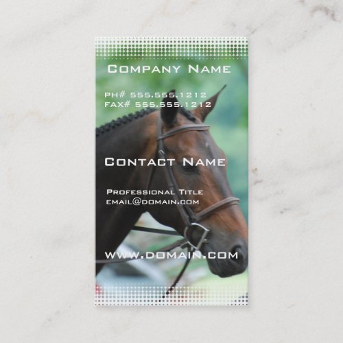 Gorgeous Warmblood Horse Business Card