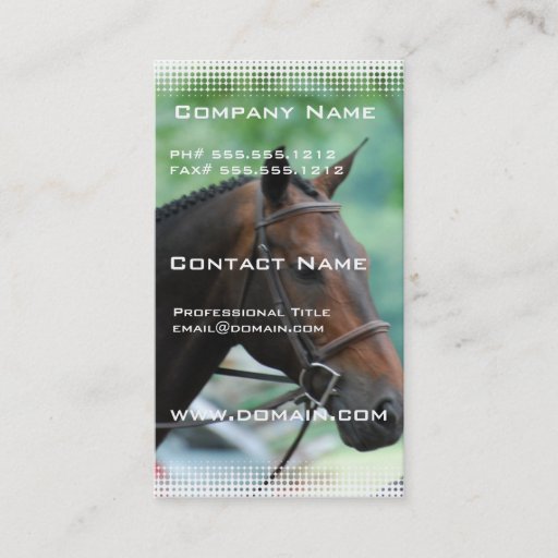 Customizable Gorgeous Warmblood Horse Business Card