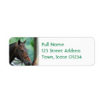 Gorgeous Warmblood Horse Mailing Labels