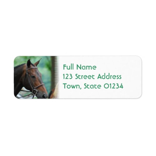 Gorgeous Warmblood Horse Mailing Labels