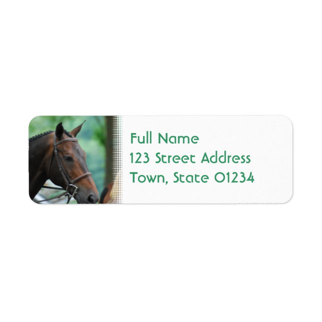 Gorgeous Warmblood Horse Mailing Labels (Front)