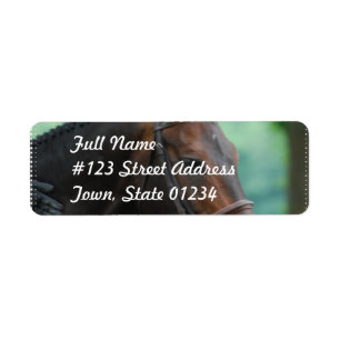 Gorgeous Warmblood Horse Mailing Labels