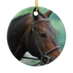 Gorgeous Warmblood Horse Ornament