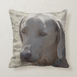 Gorgeous Weimaraner Throw Pillow