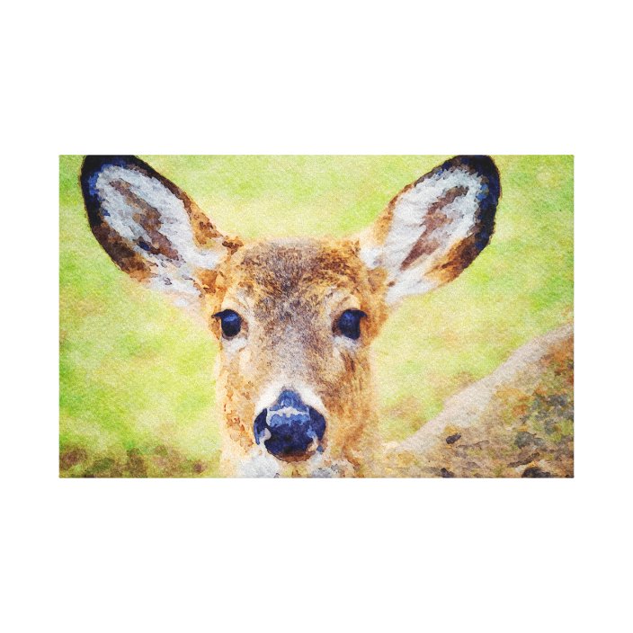 Gorgeous Whitetail Deer Head Watercolor Painting Canvas Print