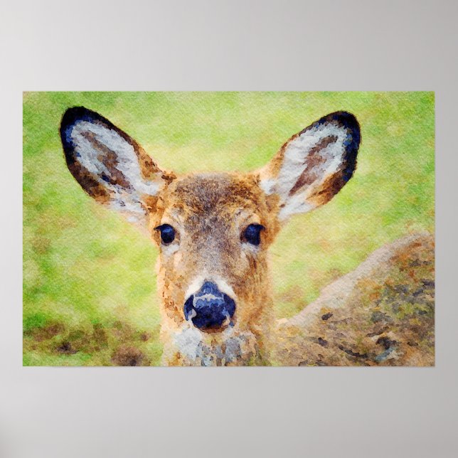 Gorgeous Whitetail Deer Head Watercolor Painting Poster (Front)