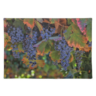 Gorgeous Wine Country Table Setting Placemats