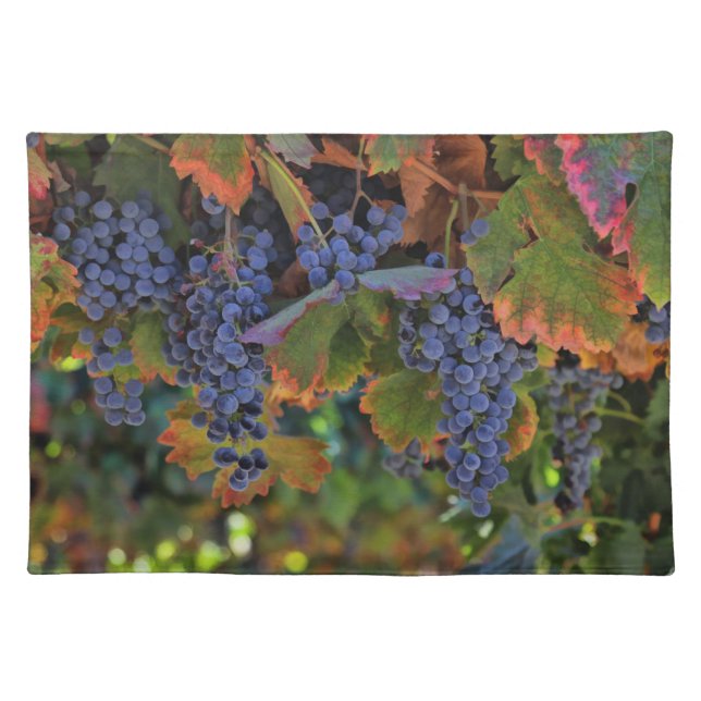 Gorgeous Wine Country Table Setting Placemats (Front)
