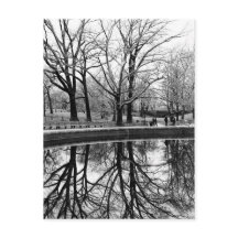 Gorgeous Winter Landscape in Central Park