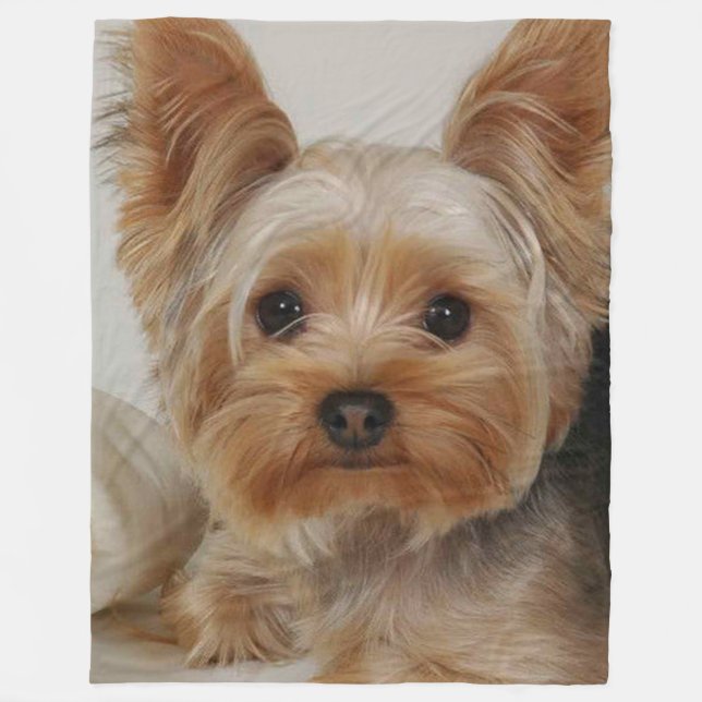 Gorgeous Yorkshire Terrier Fleece Blanket (Front)
