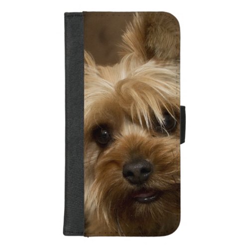 Gorgeous Yorkshire Terrier iPhone 87 Plus Wallet Case