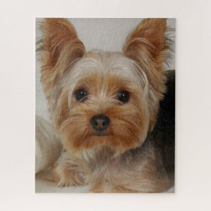 Gorgeous Yorkshire Terrier Jigsaw Puzzle