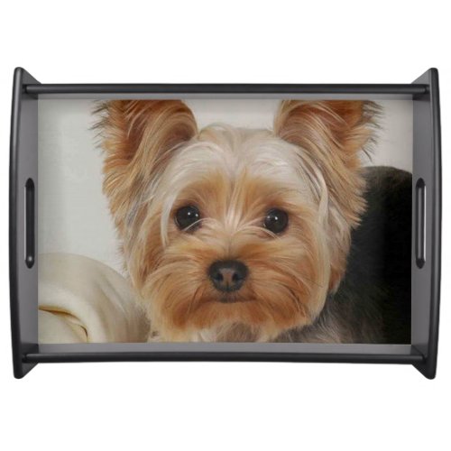 Gorgeous Yorkshire Terrier Serving Tray