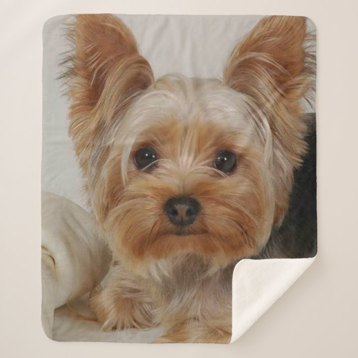 Yorkshire Terrier Sherpa Blanket