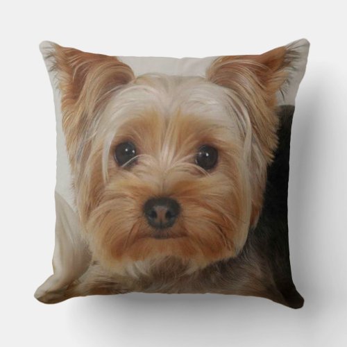 Gorgeous Yorkshire Terrier Throw Pillow