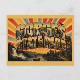 Gorges State Park NC Vintage Travel Art Postcard