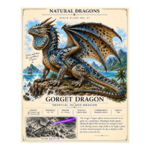 Gorget Dragon Field Plate
