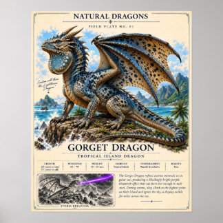 Gorget Dragon Field Plate Poster