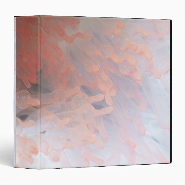 Gorgonian coral 4 binder (Front/Spine)