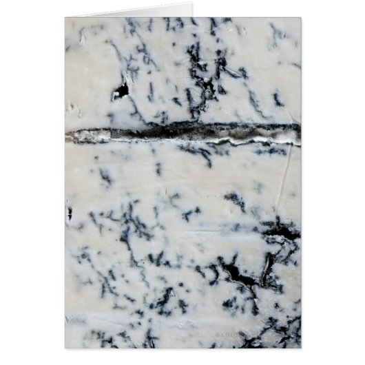 Gorgonzola Cheese (Front)