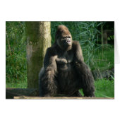 Gorilla (Front Horizontal)
