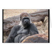 gorilla (Front Horizontal)