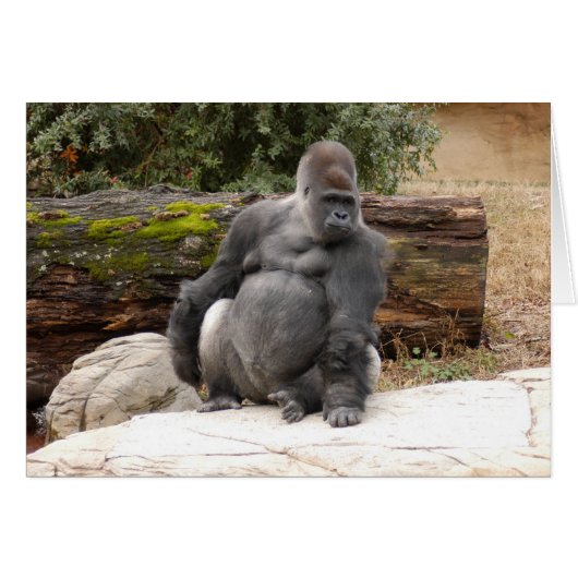 Gorilla_022 Cards (Front Horizontal)
