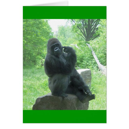 Gorilla #3 cards (Front)