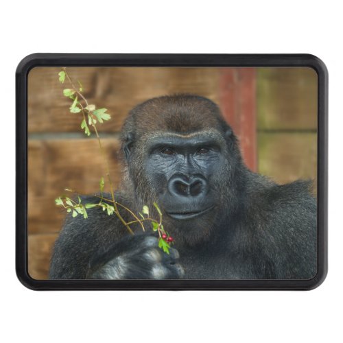 Gorilla And His Berries Hitch Cover
