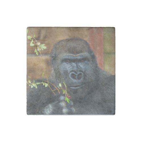 Gorilla And His Berries Stone Magnet