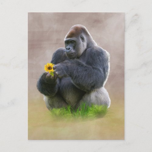 Gorilla and Yellow Daisy Postcard