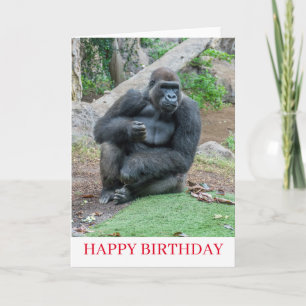Gorilla at the zoo birthday card